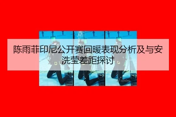chen-yu-fei-yin-ni-gong-kai-sai-hui-nuan-biao-xian-fen-xi-ji-yu-an-xi-ying-cha-ju-tan-tao-2-396.jpg